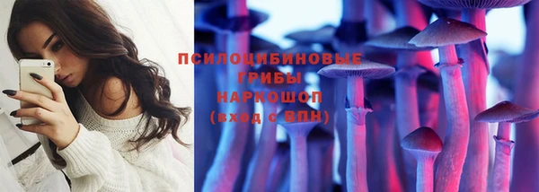 первитин Бородино