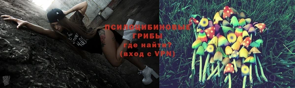 а пвп мука Верея