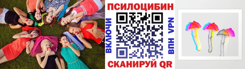 наркота  Козловка  Галлюциногенные грибы Psilocybe 